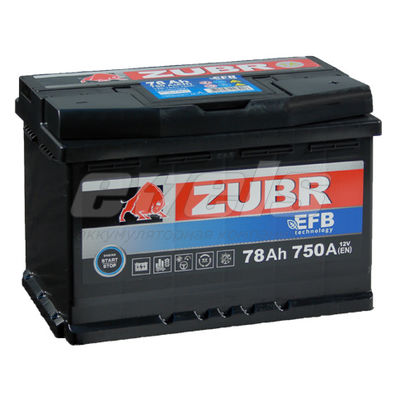 ZUBR EFB  6ст-78 R+ — основное фото